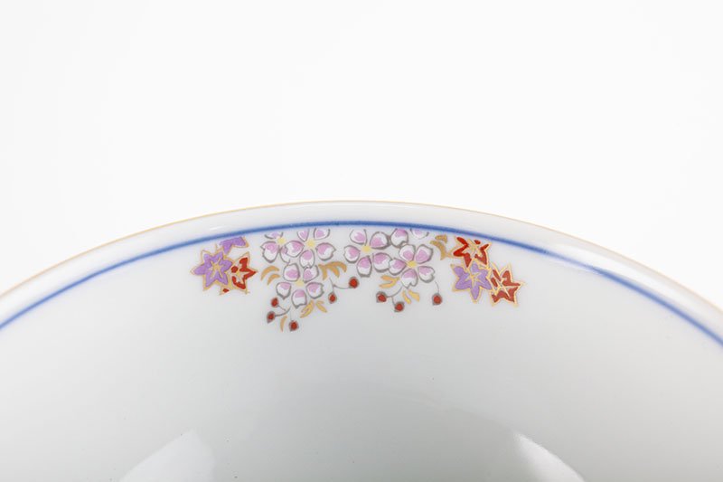 Spring and autumn pattern [rice bowl, large]