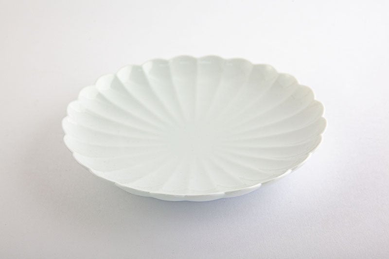 White porcelain chrysanthemum wari [Japanese plate]