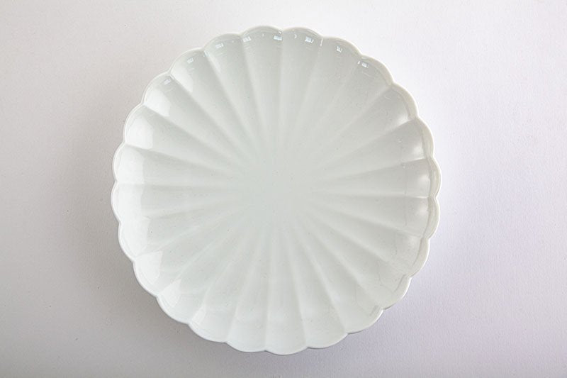 White porcelain chrysanthemum wari [Japanese plate]